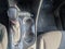 2025 Buick Encore GX Preferred FWD